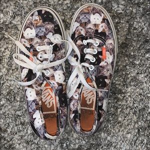 Cat vans (US 6)